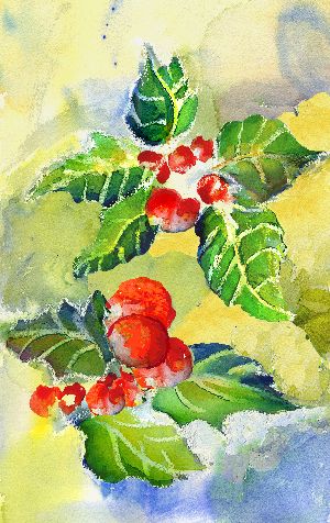 Holly Berries